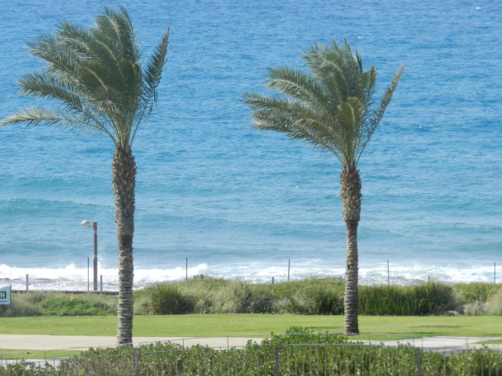 דירות חיפה הדירה של אלכסה מראה חיצוני תמונה