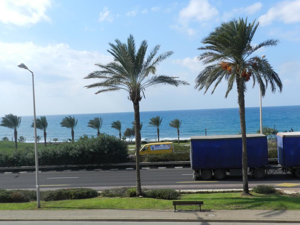 דירות חיפה הדירה של אלכסה חדר תמונה