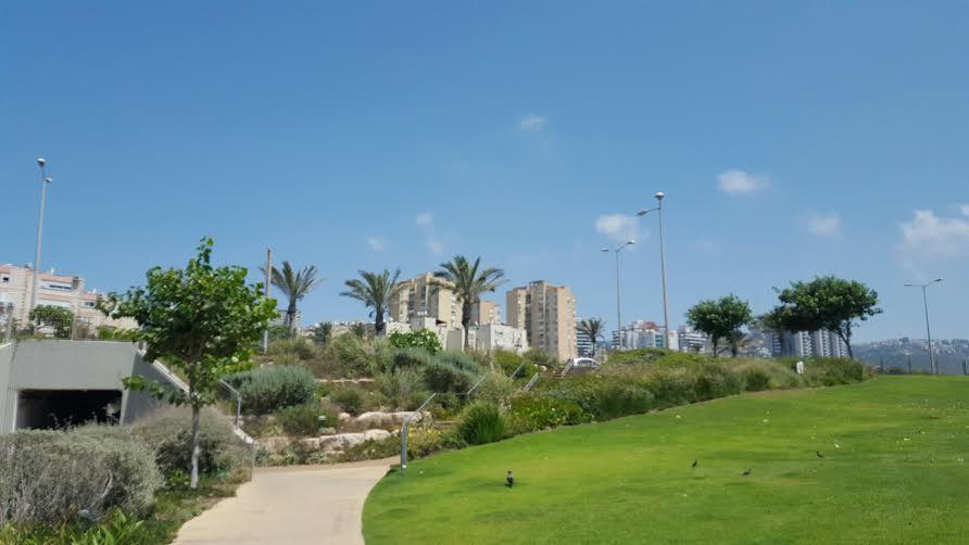 דירות חיפה הדירה של אלכסה מראה חיצוני תמונה